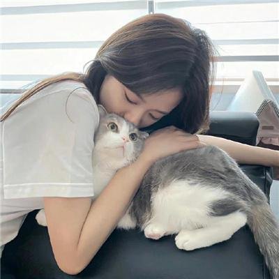 为黛西小姐开车